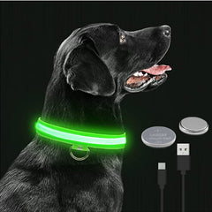 Luminous Dog Collar